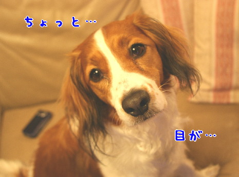 d0013149_23575116.jpg