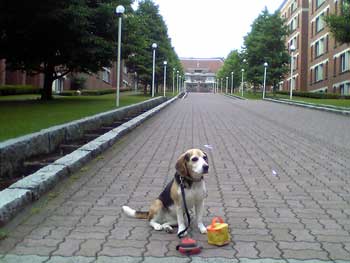 b0005652_222527100.jpg