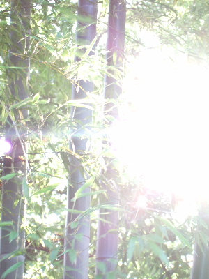 d0102664_21121159.jpg