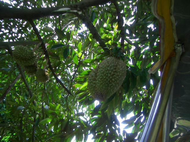 c0094065_23303753.jpg