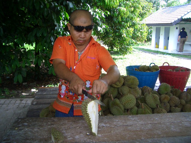 c0094065_23323595.jpg