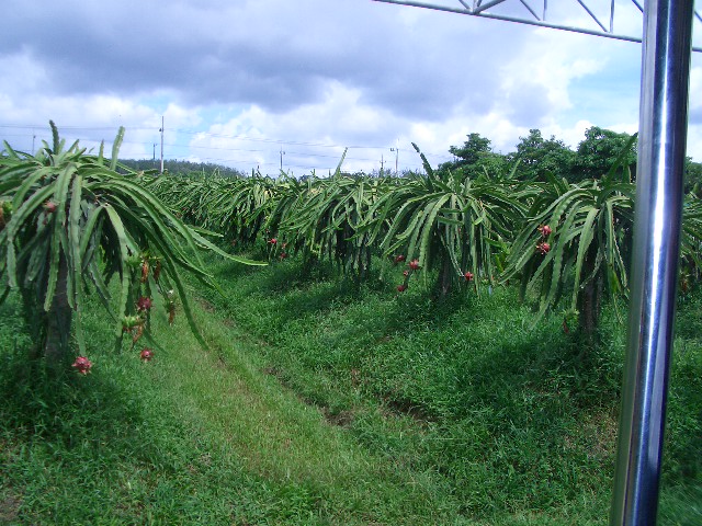 c0094065_23341616.jpg