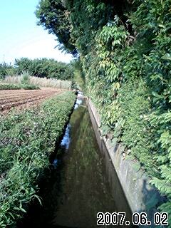 e0063270_2236401.jpg
