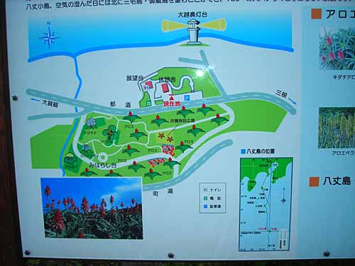 e0097770_1751930.jpg