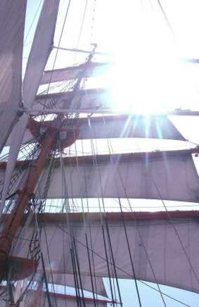 c0073377_18391062.jpg