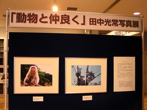 f0092382_13225485.jpg