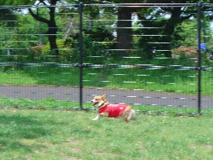 b0076384_2335442.jpg