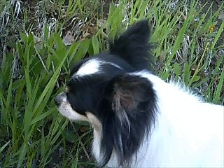f0075087_18104535.jpg