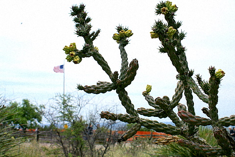 c0121289_1434675.jpg