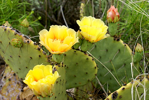 c0121289_1513617.jpg