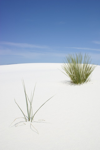 c0121289_255959.jpg
