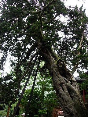 e0021494_18261683.jpg