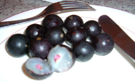 e0118096_1534280.jpg