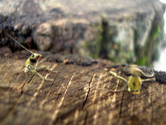 e0083097_20314214.jpg