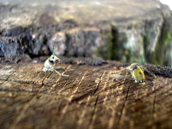 e0083097_2031562.jpg