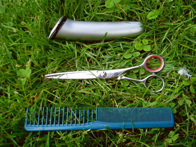 c0037103_14529.jpg