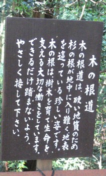 a0032405_14395186.jpg