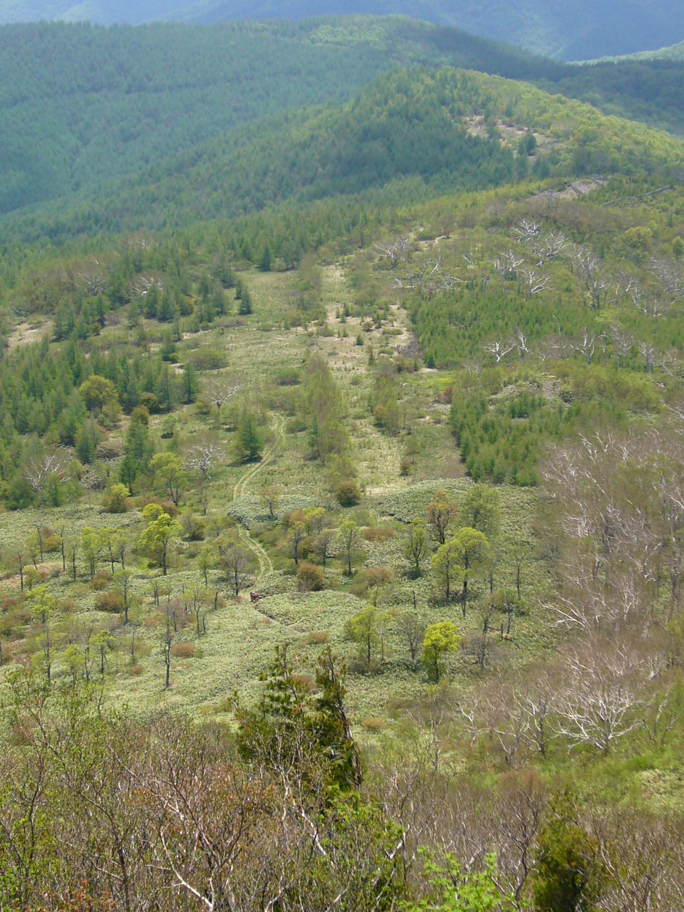 b0050305_8182630.jpg