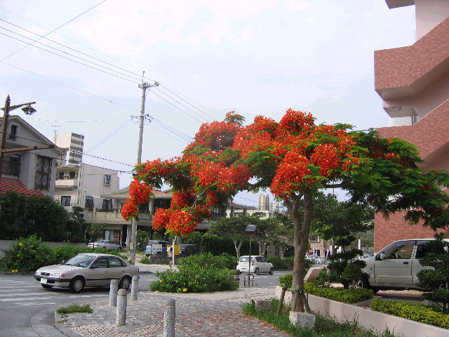 f0127610_2175490.jpg