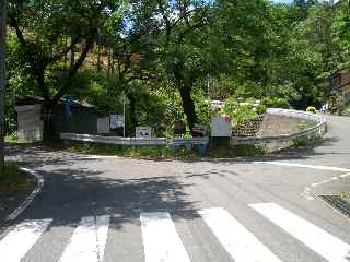 c0051112_21515427.jpg