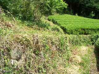 c0051112_2156843.jpg