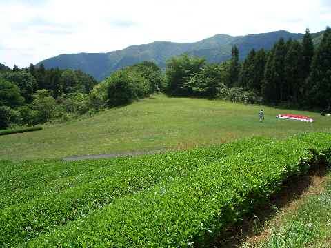 c0051112_22165420.jpg