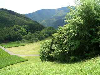 c0051112_2235441.jpg