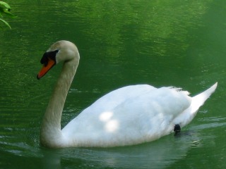 e0033013_23551353.jpg