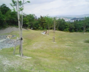 f0041113_856874.jpg