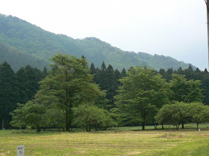 c0086014_21484381.jpg