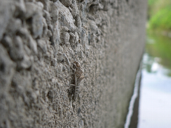 e0002314_2040274.jpg