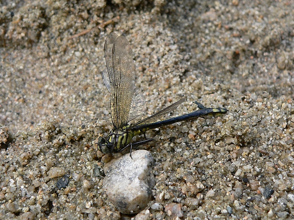 e0002314_20414129.jpg