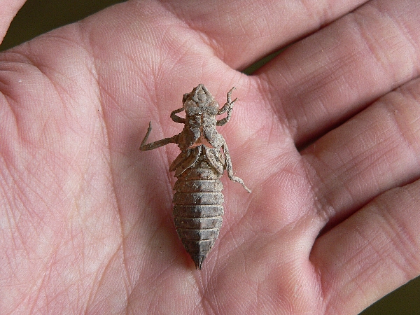 e0002314_2043970.jpg