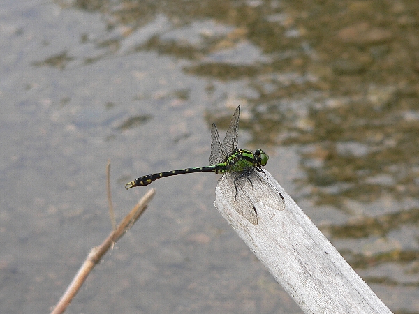 e0002314_20544961.jpg