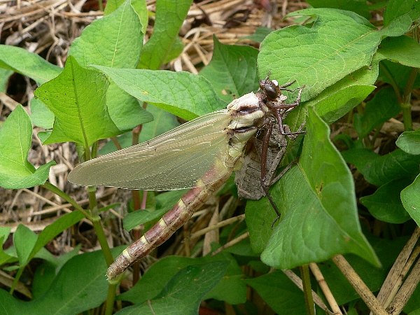 e0002314_2056498.jpg