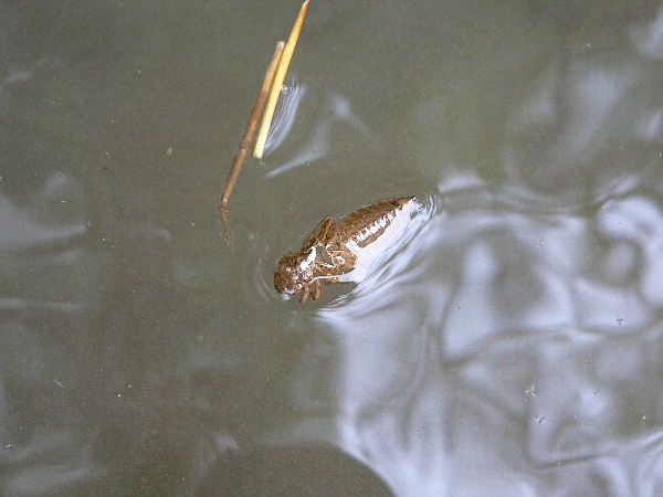 e0002314_20572391.jpg
