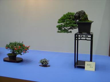 b0077117_21451152.jpg