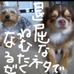 c0036617_1819218.jpg
