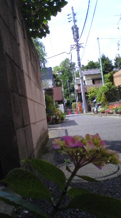 e0112619_21312072.jpg