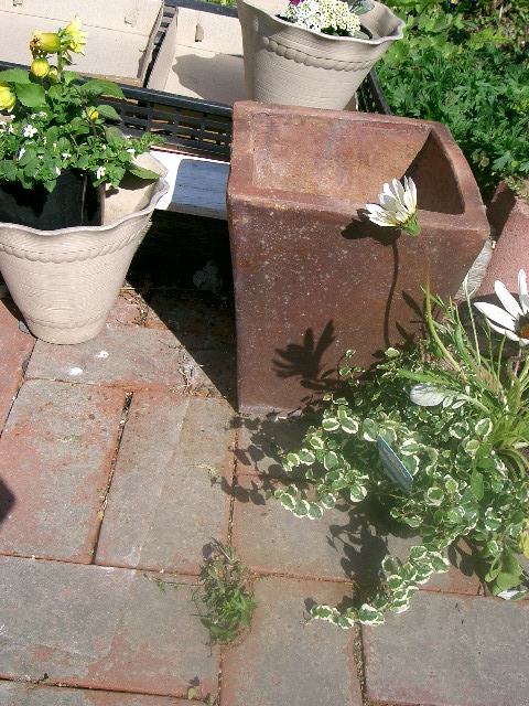 d0102422_177143.jpg