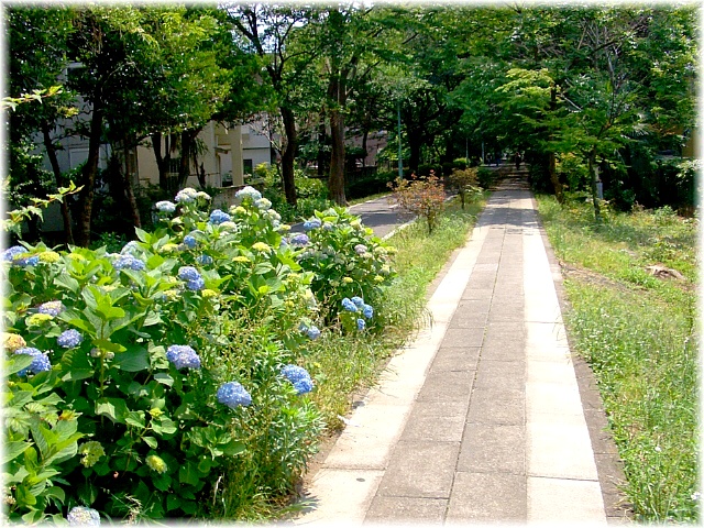 d0083623_1728566.jpg