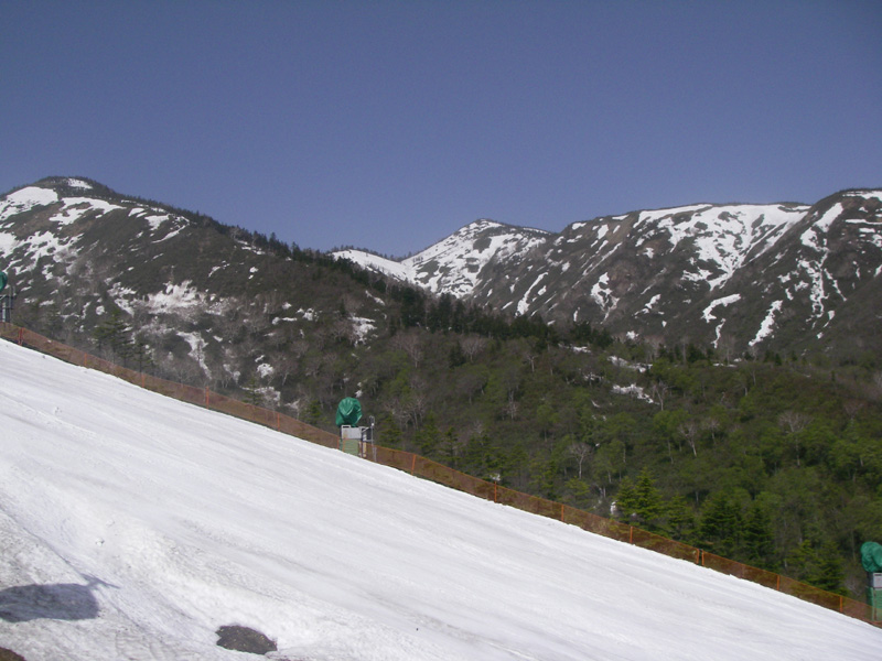 b0062024_1850585.jpg