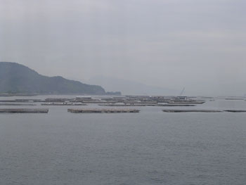 c0095824_2132397.jpg