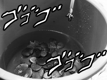 c0095824_21464956.jpg