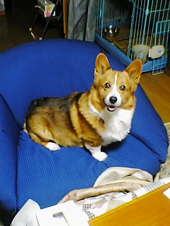 c0020526_23494868.jpg