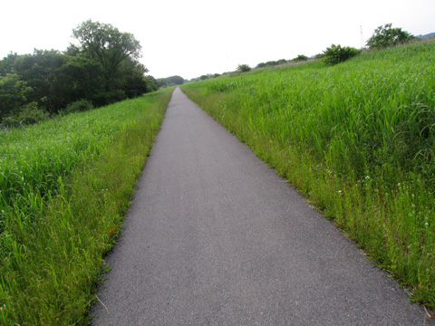 e0089826_11341330.jpg