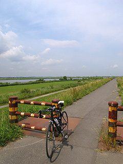 e0089826_1134453.jpg