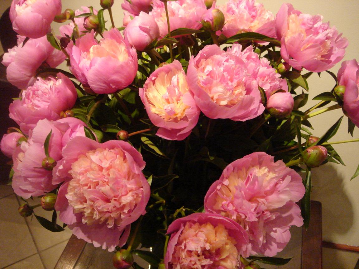 f0132327_0153525.jpg