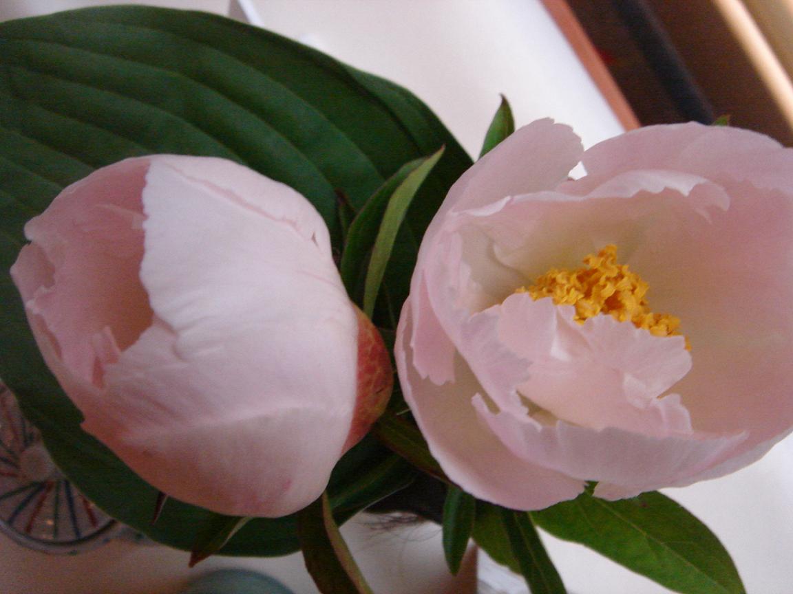 f0132327_0262561.jpg