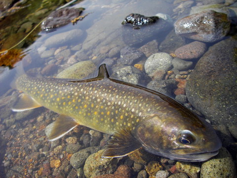 c0090530_201365.jpg